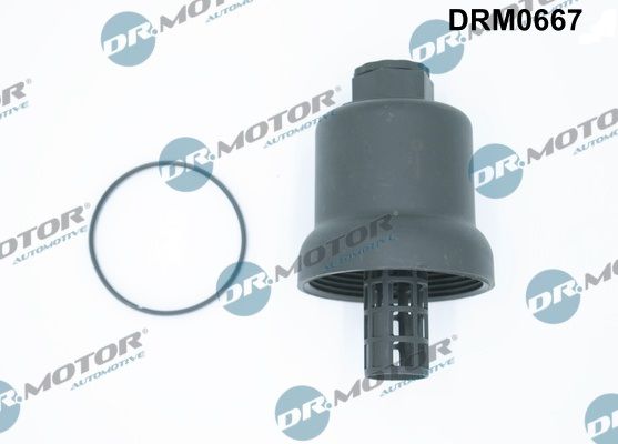 DR.MOTOR AUTOMOTIVE Vāks, Eļļas filtra korpuss DRM0667